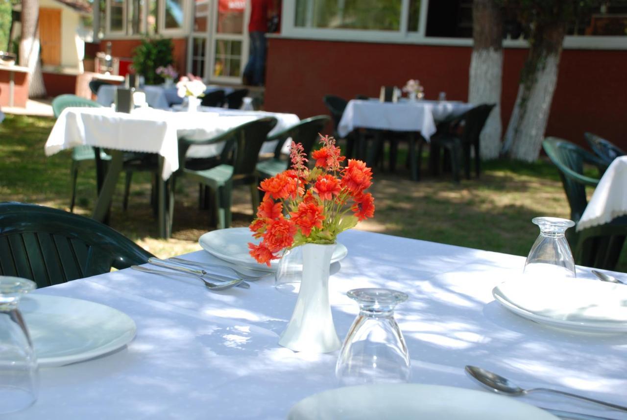 Shila Doert Mevsim Tatil Koyu Ξενοδοχείο Ağva Εξωτερικό φωτογραφία