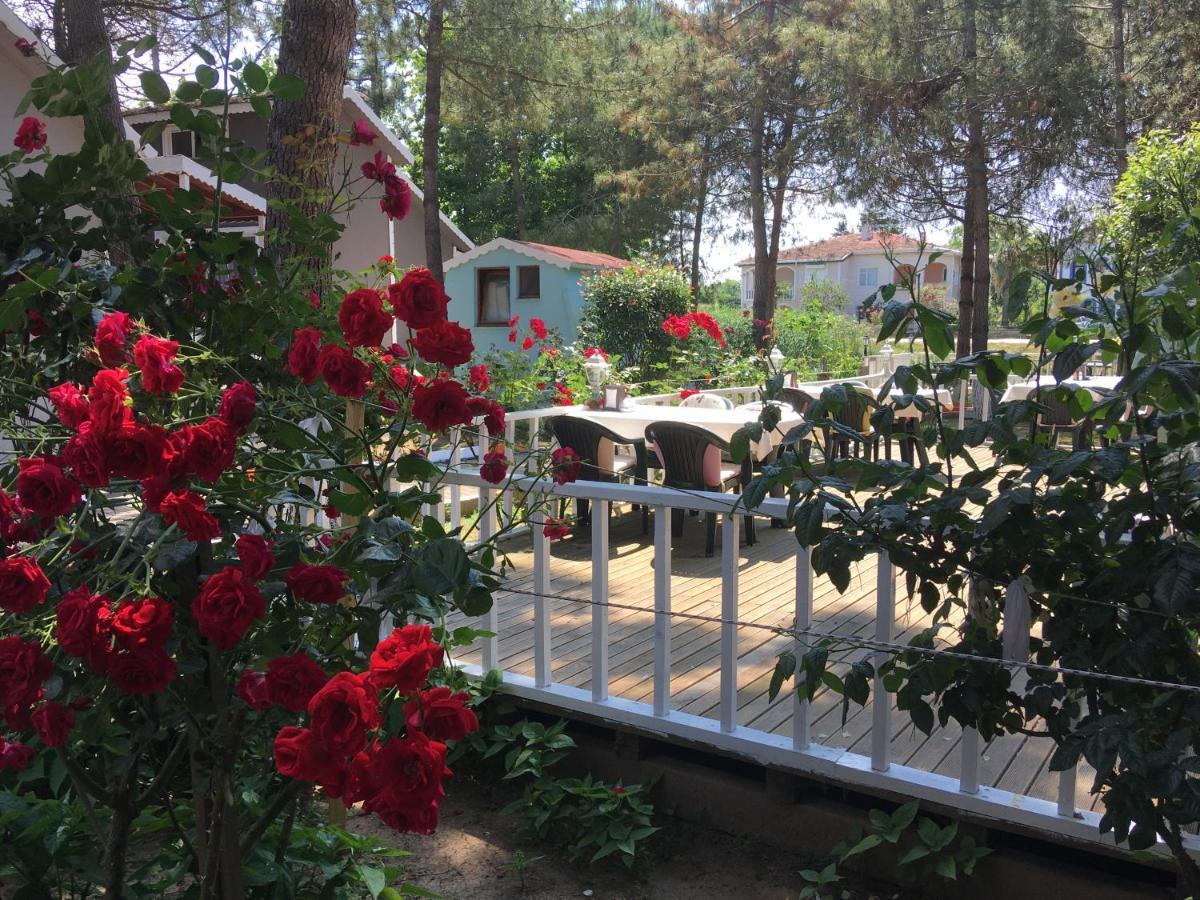 Shila Doert Mevsim Tatil Koyu Ξενοδοχείο Ağva Εξωτερικό φωτογραφία